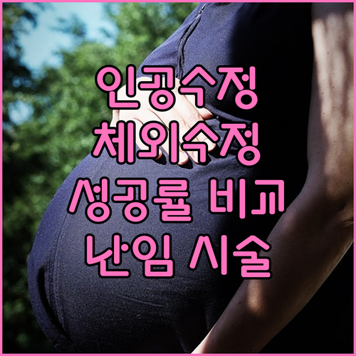인공 수정 vs 체외 수정, 난임 시술 성공률 비교