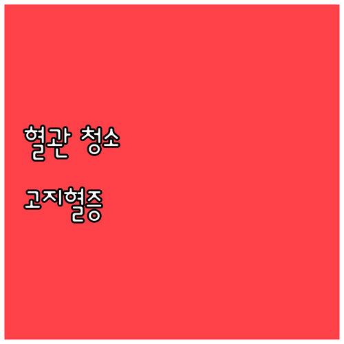 고지혈증, 콜레스테롤 관리가 답! 증상과 치료 핵심 정보