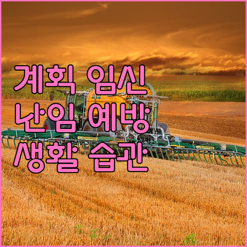 계획 임신을 위한 난임 예방: 건강한 생활 습관 가이드