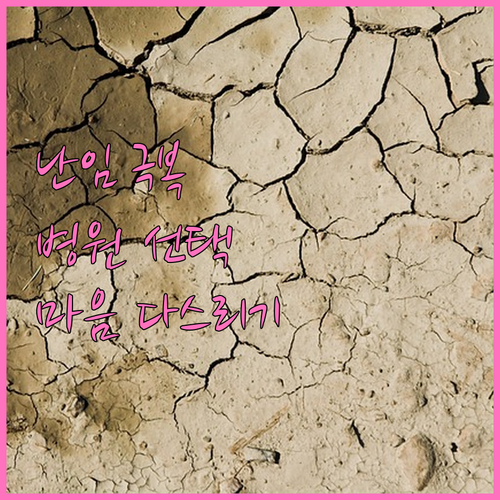 난임 치료 여정: 병원 선택부터 심리적 어려움 극복까지
