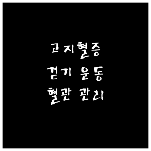 고지혈증 환자 필독! 걷기 운동으로 건강하게 혈관 관리하는 꿀팁