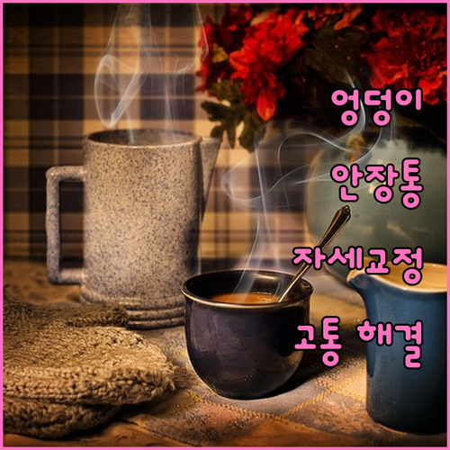 자전거 안장 통증 해결 자세 교정과 안장 선택의 중요성