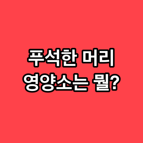 푸석한 모발, 탈모? 모발에 필요한 영양소는?