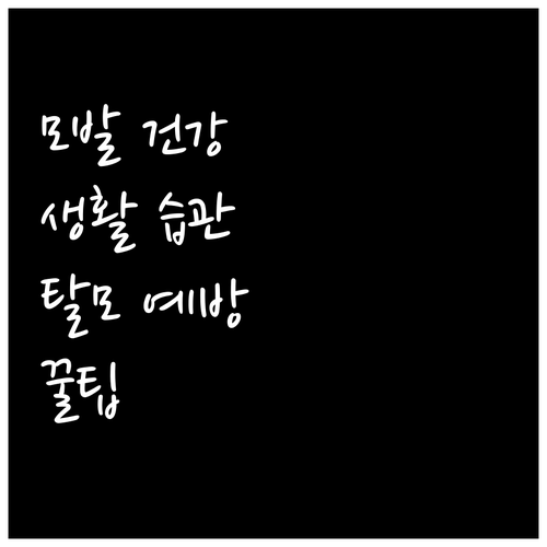 모발 건강 지키는 생활 습관 탈모 예방의 시작