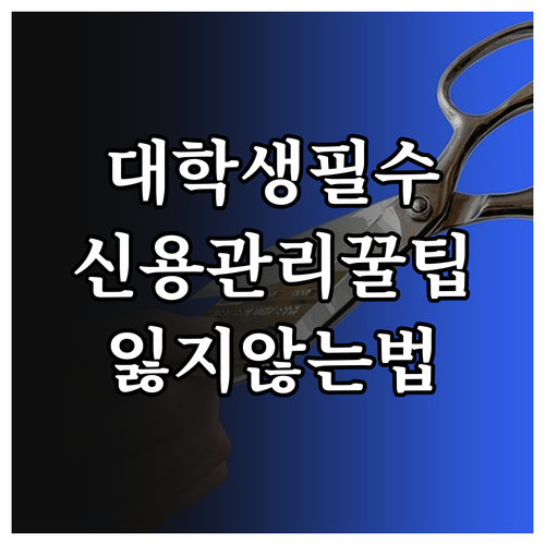 대학생 맞춤 신용 관리: 잃지 않는 방법