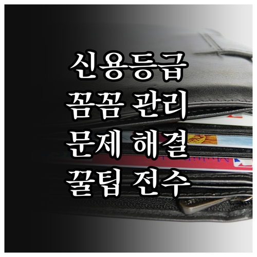 신용등급, 꼼꼼하게 관리하고 문제 해결하는 방법