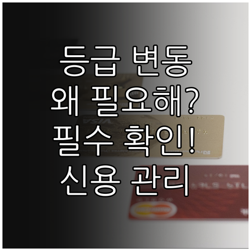 신용등급 변동 알림 서비스, 왜 필요할까?🤔