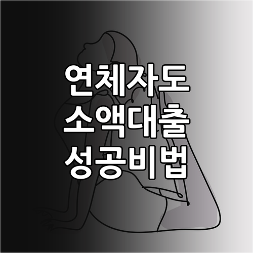 연체자 소액 대출 성공: 상품 선택부터 신청 절차까지