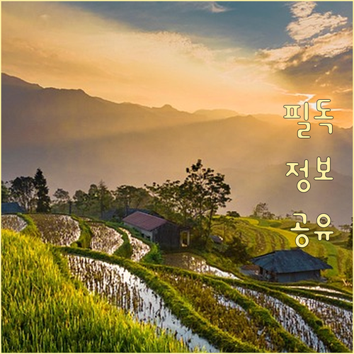 태풍 vs 저기압: 차이점 완벽 분석 및 대비법