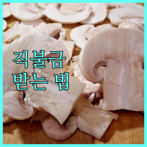 2025년 기본형 공익직불금 소득 안정과 공익 증진 혜택 받는 방법