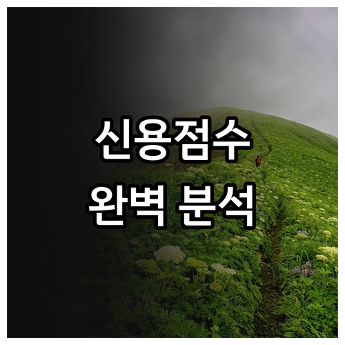 신용점수 관리: 은행, 제2금융권, 카드사 기준 완벽 분석