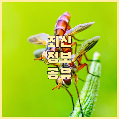태풍 피해 최소화: 단계별 행동 요령으로 안전하게 대처