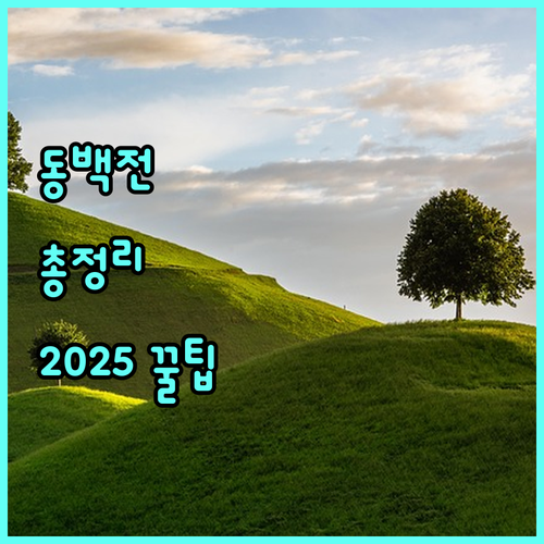 2025 부산 동백전 파헤치기 혜택, 신청, 가맹점 정보