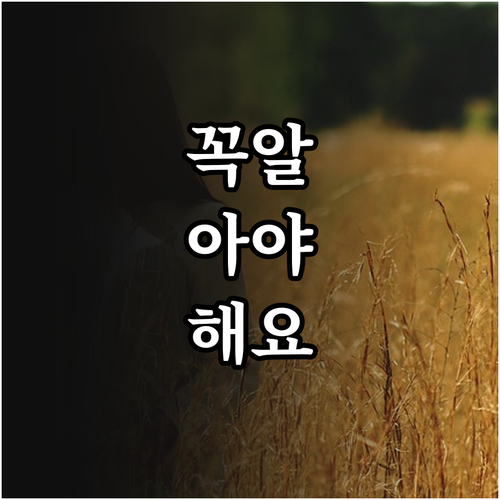 이사 가나요? 부산진구 가야동 도시가스 연결 철거 신청법