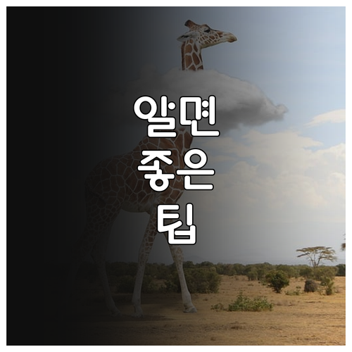 만덕동 도시가스 핵심! 연결, 이사, 요금 한 번에 끝내기