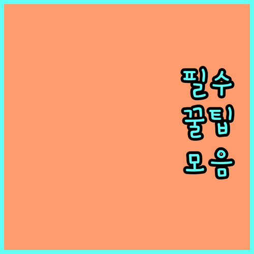 2025년 국가보훈 재가복지 지원: 대상, 혜택, 신청 방법 상세 안내