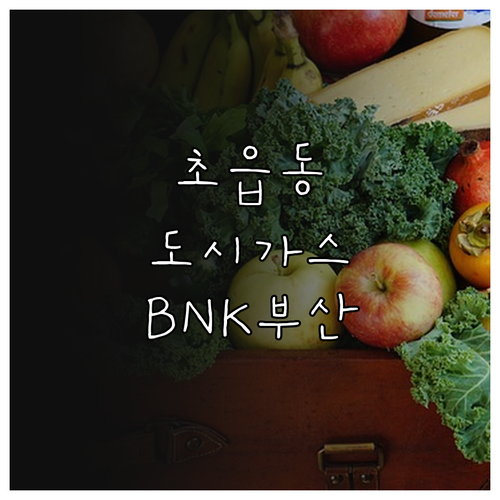 초읍동 도시가스 핵심 정보: BNK부산도시가스 서비스 총정리