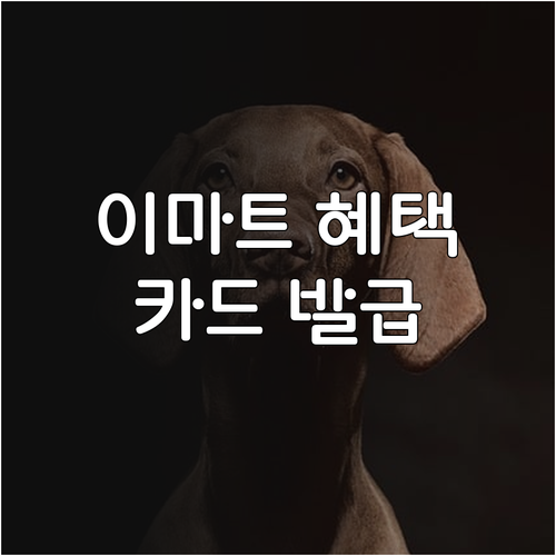 이마트 하나카드 발급 조건부터 혜택까지 총정리