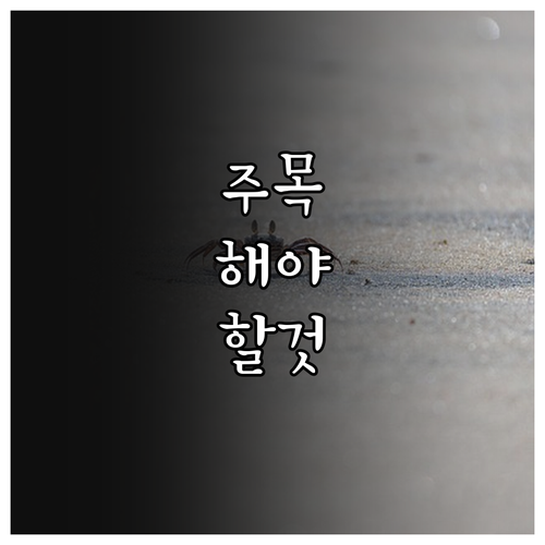 도시가스 누출 비상! 용호동 주민을 위한 긴급 대처법