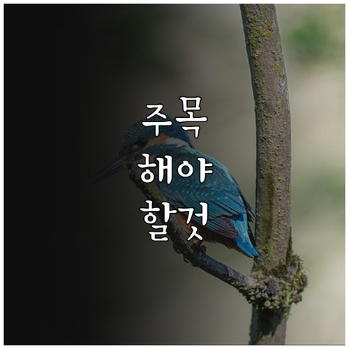 외국인 자녀 육아휴직 급여 받을 수 있나요