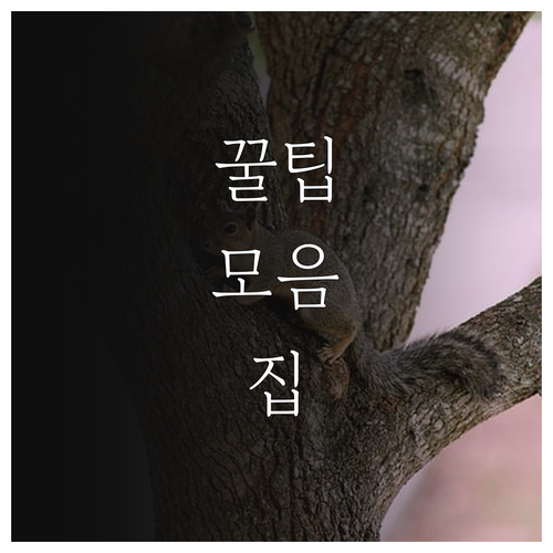 함안군 학자금 이자지원 2025년 하반기 경제적 부담 해소