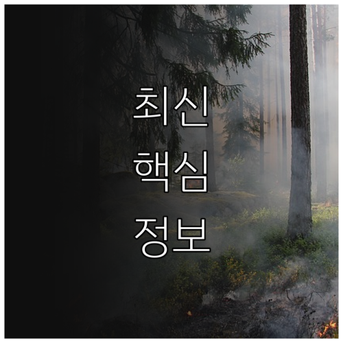 갑작스런 가스 누출 구포동 비상 대처 3단계