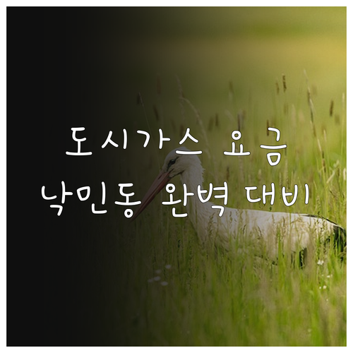 도시가스 요금 계산부터 이사까지 낙민동 완벽 대비