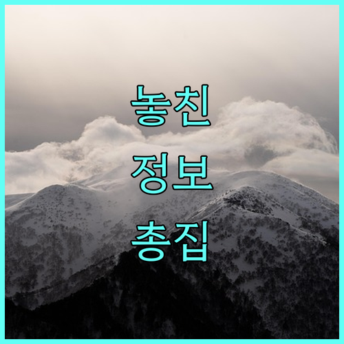 2025년 노인복지용구 지원: 휠체어, 침대 등 필요 용구 지원받는 법