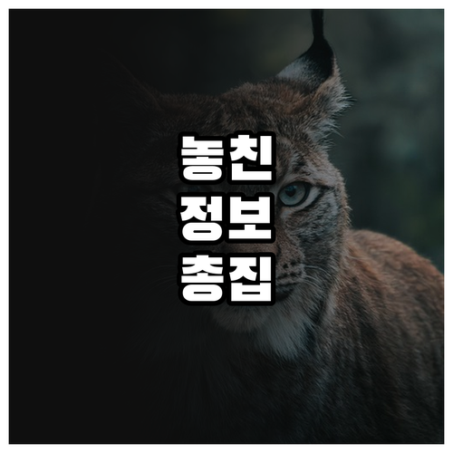 부산진구 도시가스 고객센터 연결 요금 핵심 정보