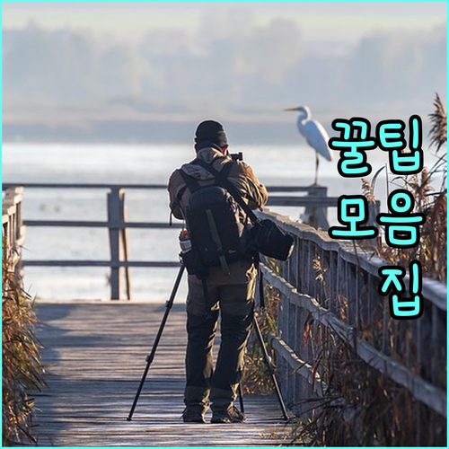 2025년 보령사랑상품권: 10% 할인 받고 지역 경제 살리는 방법