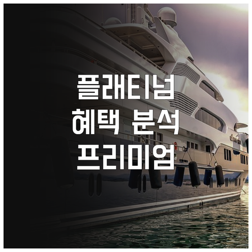 프리미엄 라이프를 위한 하나카드 플래티넘 혜택 분석