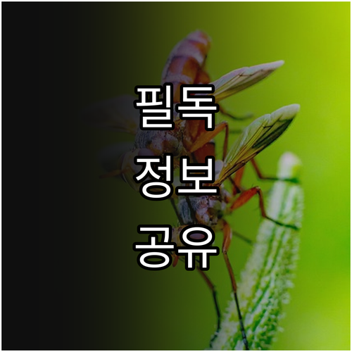 회사 눈치 없이 육아휴직: 급여와 법적 권리 활용 전략