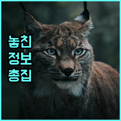 광양시 출생장려금 2025년 핵심 정보 대상 금액 서류