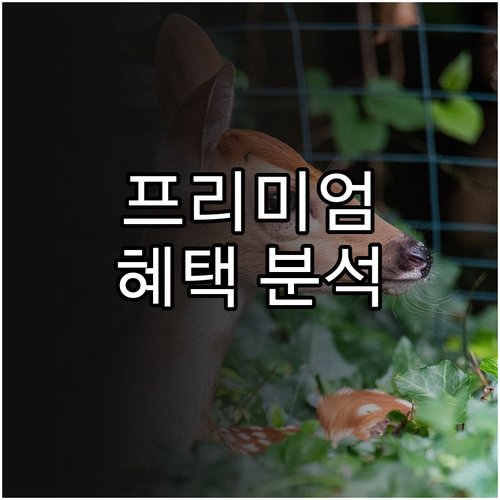 프리미엄 하나카드 Club 1 Legacy 혜택 파헤치기
