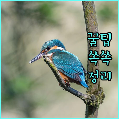 2025 제주 청년 희망충전 월세 지원, 놓치면 손해 핵심 요건 확인!