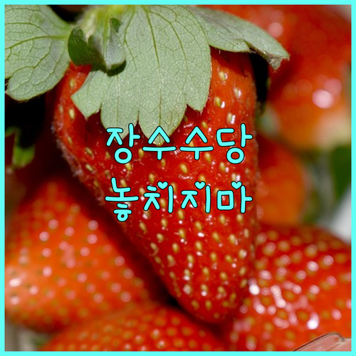 계룡시 80세 이상 어르신께 드리는 2025 장수수당, 놓치지 마세요!