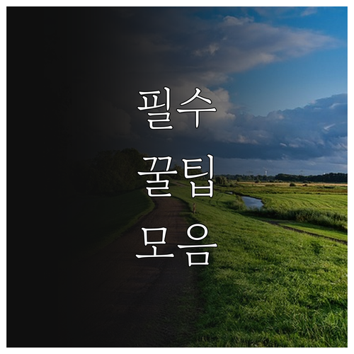 영동군 학자금대출 이자지원 자격 신청 서류 총정리