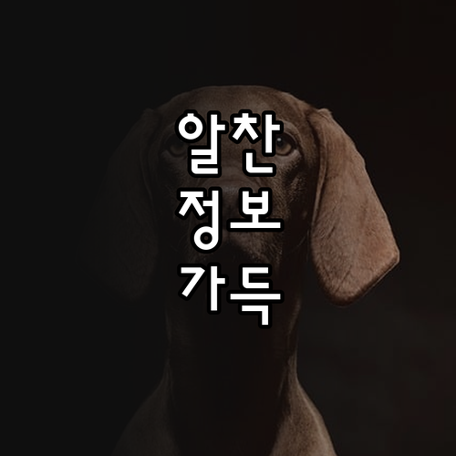 부산 좌천동 대형폐기물 버리는 법 온라인 스티커 총정리