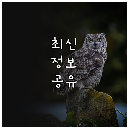 헷갈리는 상생페이백 온누리상품권 지역화폐, 한 번에 끝내기