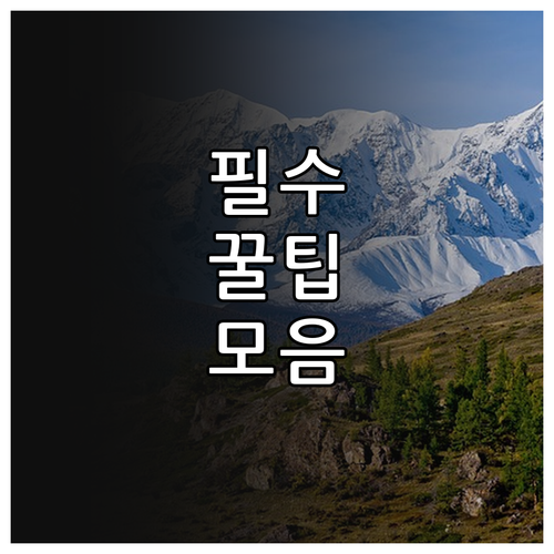 상생페이백 주유, 카드 실적 왜 안될까? 현명한 대처법