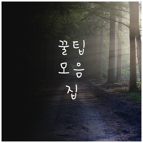 부산 중구 대형 폐기물 처리 2가지 방법: 온라인 신고와 스티커 구매