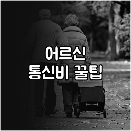 만 65세 이상 어르신을 위한 통신비 절약 신청 절차