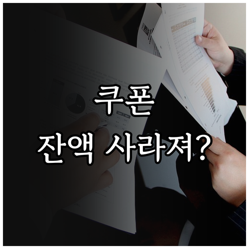중단된 소비쿠폰, 미사용 잔액과 향후 정책 방향은?