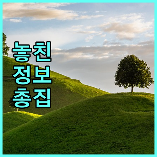강원 청년 취업 300만원 쿠폰 2025년 지원 내용 사용법