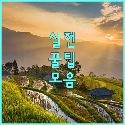 2025 제주 신혼부부 공공임대 월세지원 신청 마감 7월 서류 준비