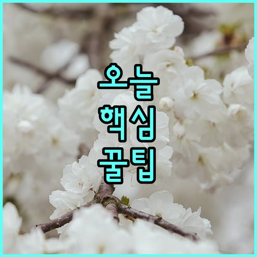 2025 글로벌 현장학습 대학생 해외 경험 핵심