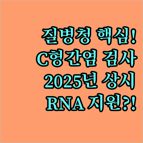 2025년 질병관리청 C형간염 RNA 검사비 상시 지원 상세 내용