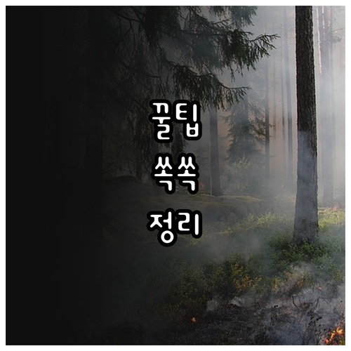송파구 대형폐기물 무단 배출 금지! 올바른 처리 방법