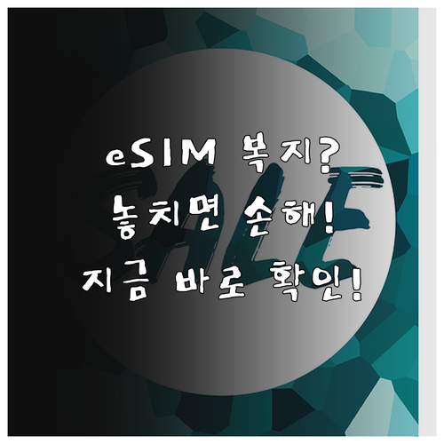 알뜰폰 eSIM 복지감면 대상 확인 및 신청 방법