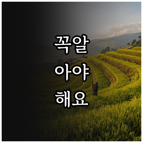 버리기 전 필수! 송파 대형폐기물 스티커 부착 요령
